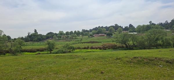 6.5 ha Land