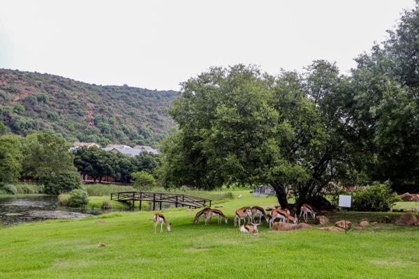1 092 m² Land