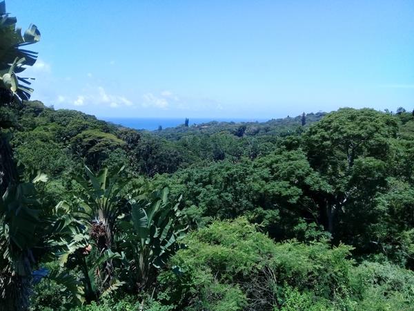 8 022 m² Land
