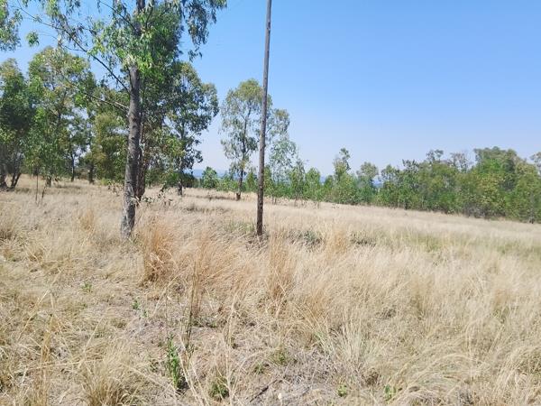 24 ha Farm