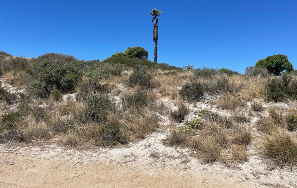 504 m² Land