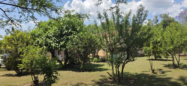 2.3 ha Smallholding