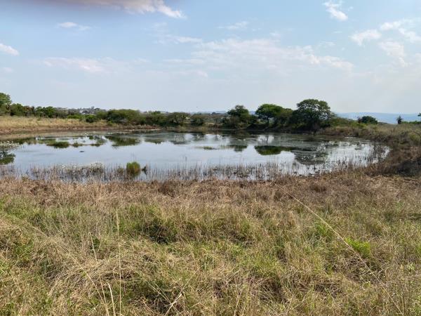 300 ha Land