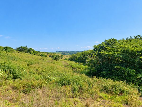 1 071 m² Land