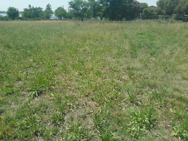 922 m² Land