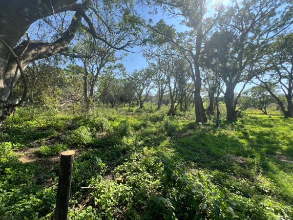 7 964 m² Land
