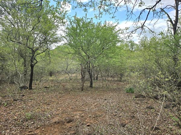 1 500 m² Land