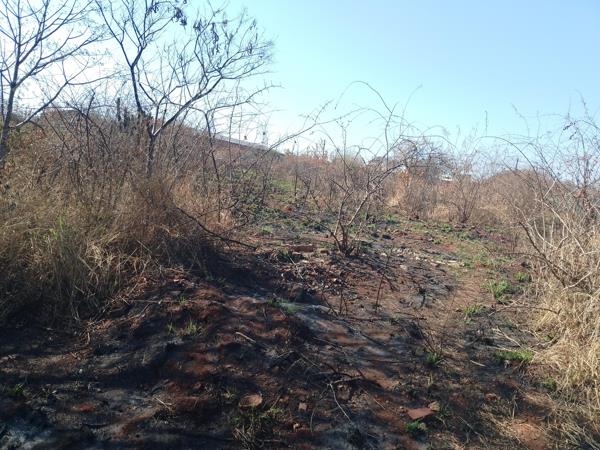 2 975 m² Land