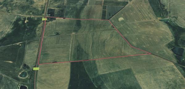 110 ha Land