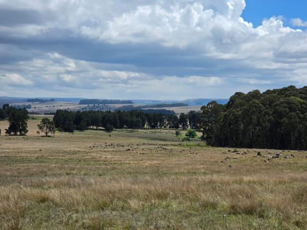 256 ha Farm