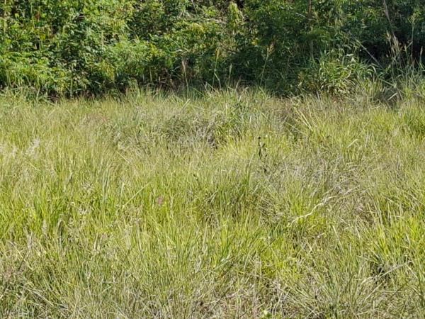 403 m² Land