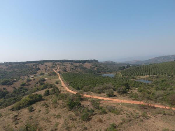 302 ha Farm