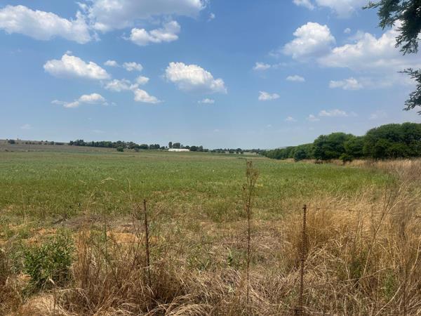 8.6 ha Smallholding