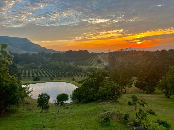 50 ha Farm