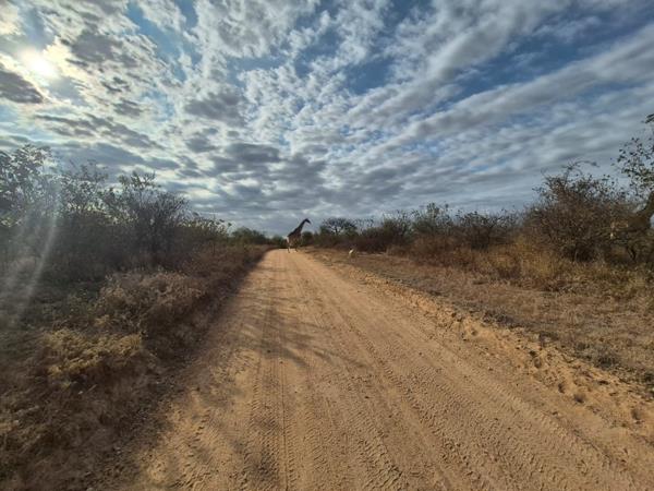 21.2 ha Land