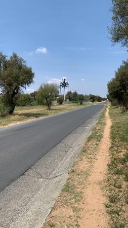 2.6 ha Land