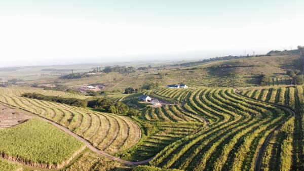 1 ha Farm