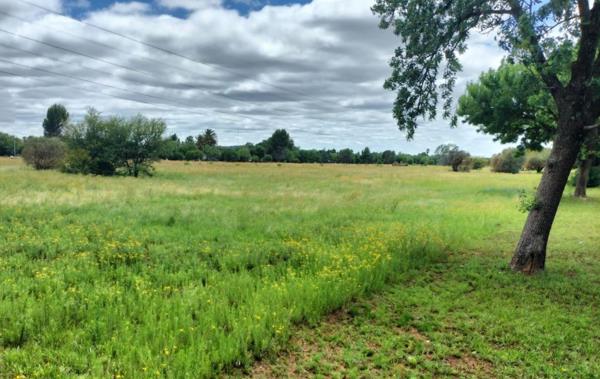 4 028 m² Land