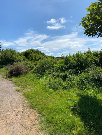 1 046 m² Land