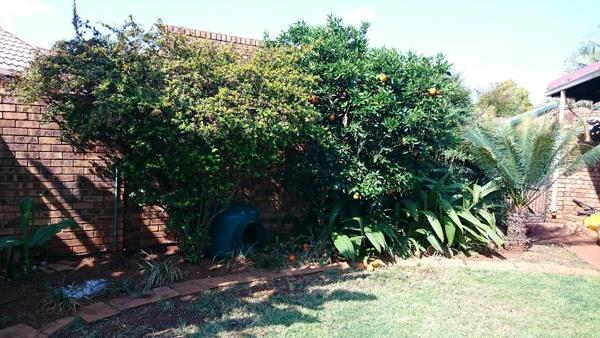 2 Bedroom Simplex