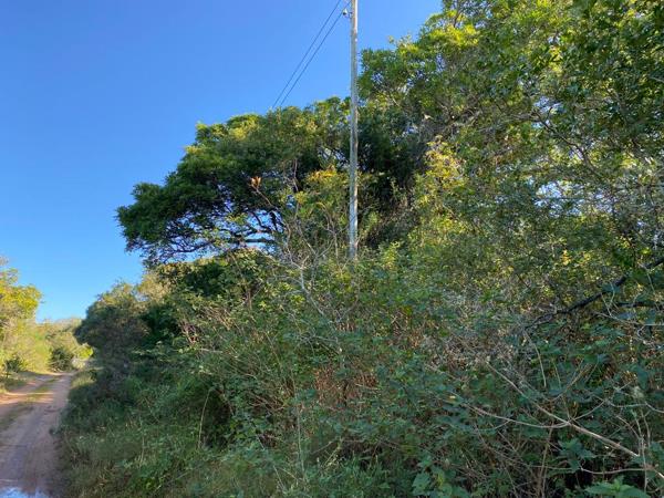 1 561 m² Land