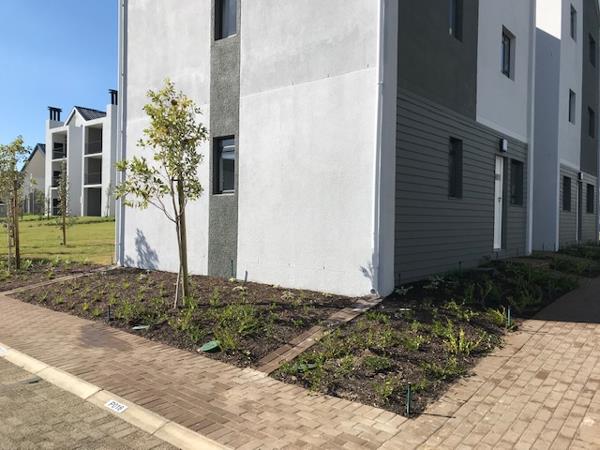 1 Bedroom Apartment in Burgundy Estate