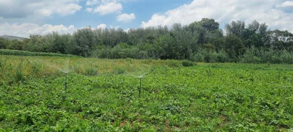 8 ha Land