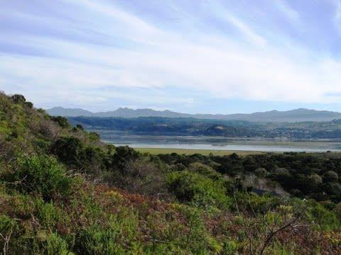 Vacant Land in Brenton On Lake