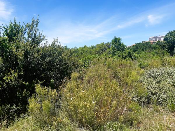 725 m² Land