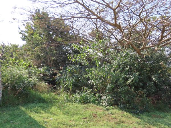1 053 m² Land