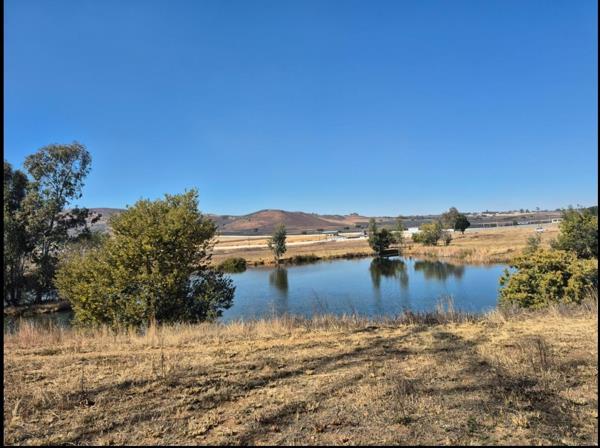 48 m² Commercial Farm