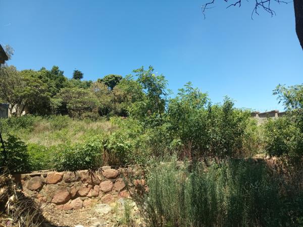 1 446 m² Land