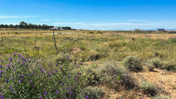 1 300 m² Land