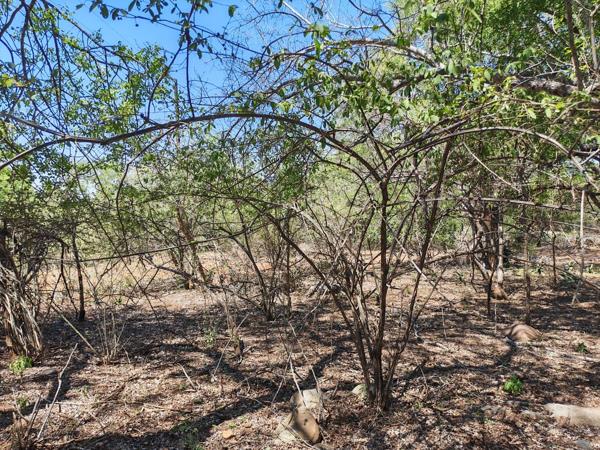 1 617 m² Land