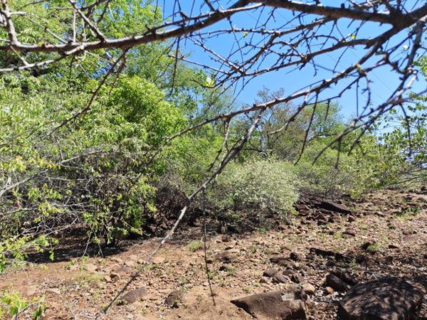1 617 m² Land
