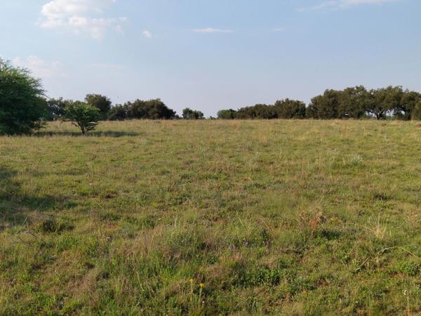 2.1 ha Smallholding