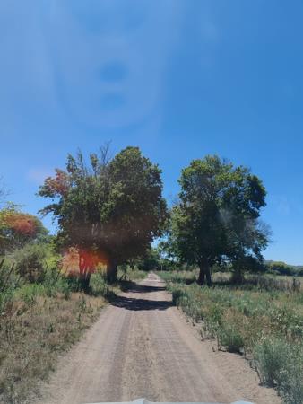 17 ha Agricultural Holding
