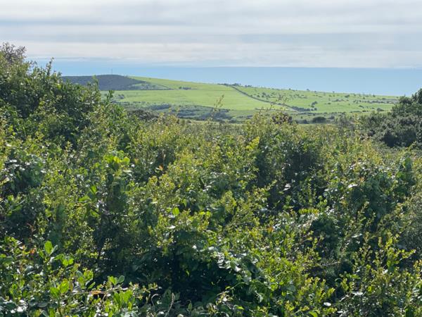 1 071 m² Land