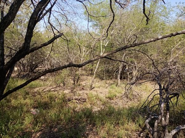 1 500 m² Land
