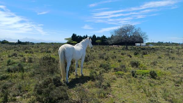 2.5 ha Land