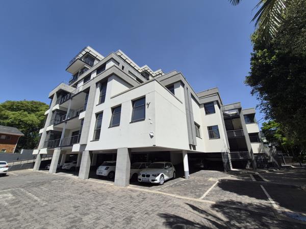 213 m² Commercial space
