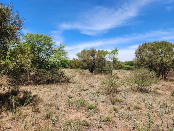 1 ha Land