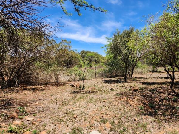 1 ha Land