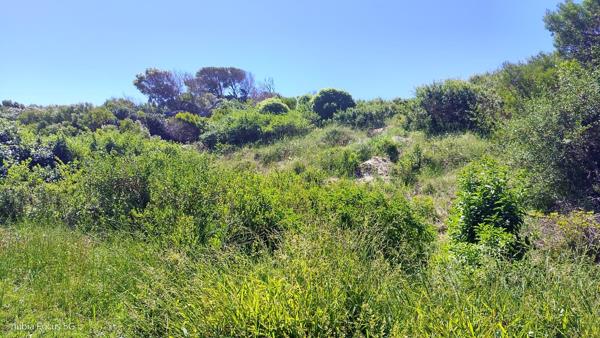 1 275 m² Land
