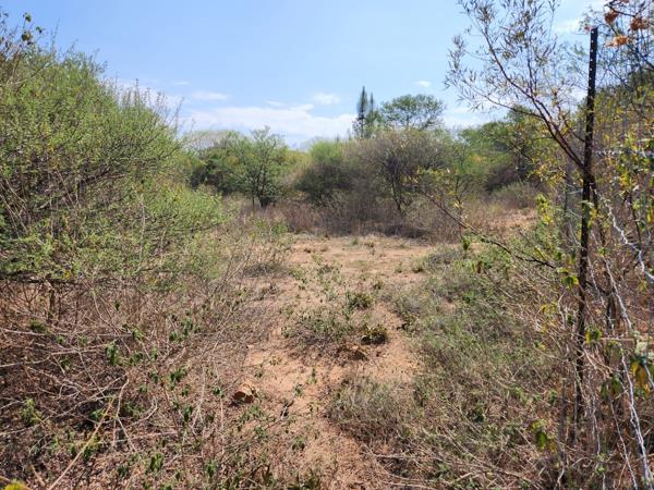 1 ha Land