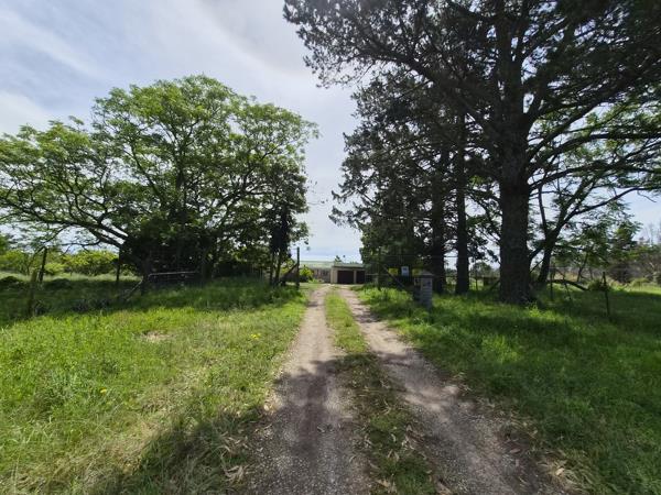 4.9 ha Farm