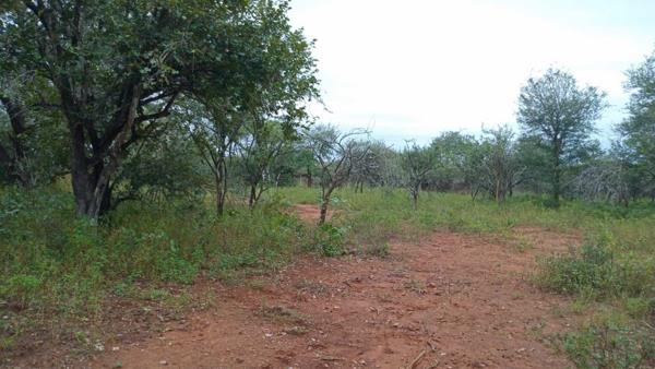2 000 m² Land