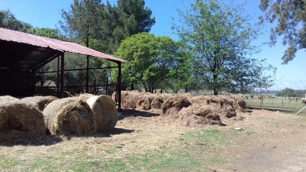 39.9 ha Farm