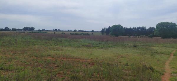 12.5 ha Farm