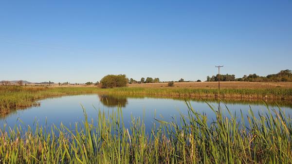 10.4 ha Smallholding